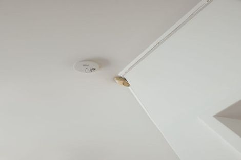 Photo of property in 15/30 Webb Street, Te Aro, Wellington, 6011