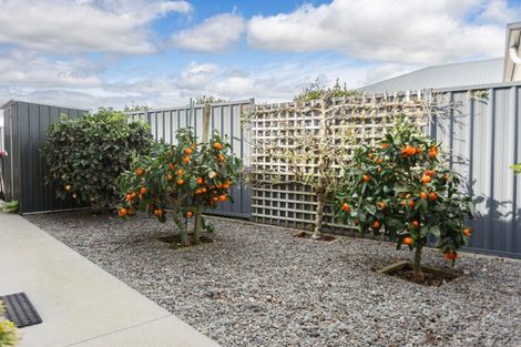 Photo of property in 17 Maple Place, Matamata, 3400