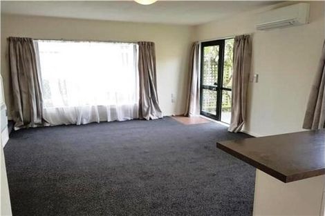 Photo of property in 8/36 Mathesons Road, Phillipstown, Christchurch, 8011