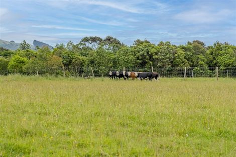 Photo of property in 51 Waimanu Road, Otaki, 5583