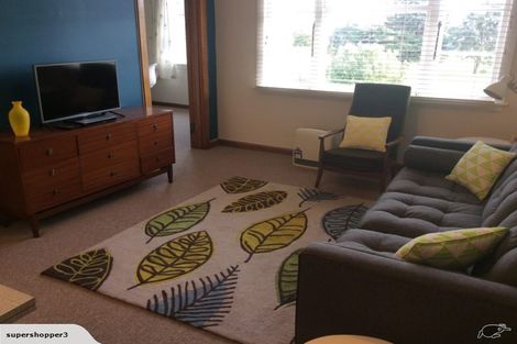 Photo of property in 16 Freyberg Street, Roslyn, Palmerston North, 4414