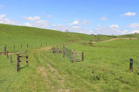 Photo of property in 1234 Richmond Road, Everett Park, Inglewood, 4389