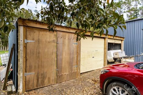 Photo of property in 163a Neems Road, Tinopai, Matakohe, 0593