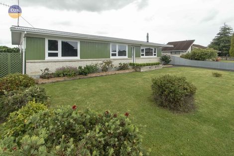Photo of property in 51 Leicester Avenue, Tamatea, Napier, 4112