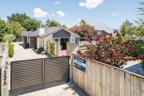 Photo of property in 33a Windsor Street, Terrace End, Palmerston North, 4410