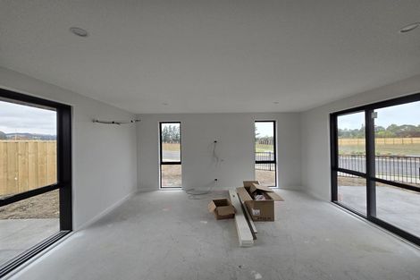 Photo of property in 46 Greig Crescent, Amberley, 7481