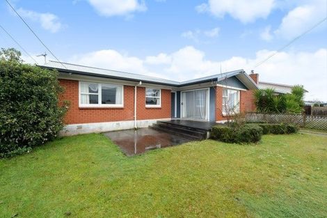 Photo of property in 141 Fitzroy Avenue, Fitzroy, Hamilton, 3206