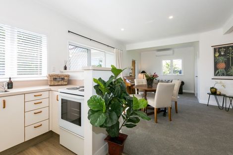 Photo of property in 2 Corwen Place, Mayfair, Hastings, 4122