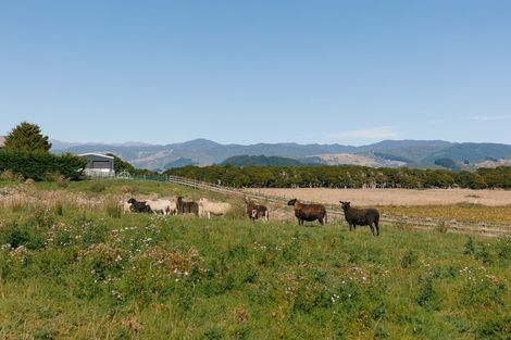 Photo of property in 111a Muhunoa Road West, Ohau, 5570