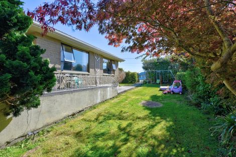 Photo of property in 141 Kakapo Street, Gore, 9710