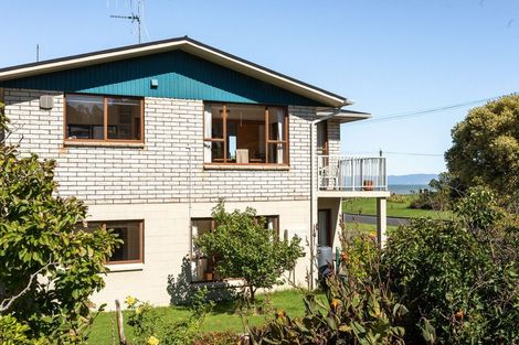 Photo of property in 106 Wilson Street, Thames, 3500