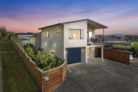 Photo of property in 276 Hill Street, Richmond, 7020