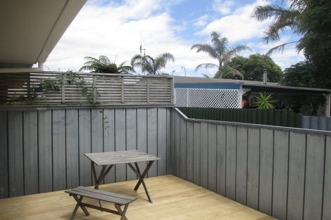 Photo of property in 17 Douglas Street, Levin, 5510