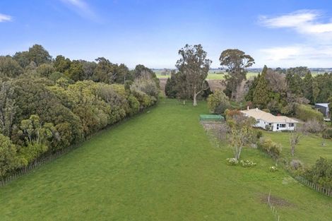 Photo of property in 352 Jeffersons Line, Marton, 4788