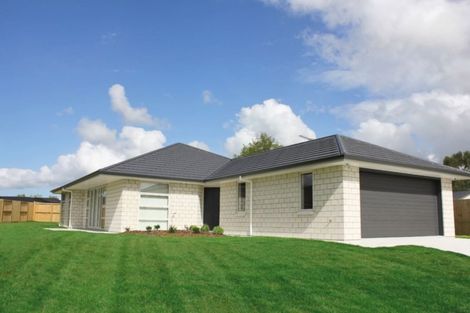 Photo of property in 10 Richardson Road, Matamata, 3400