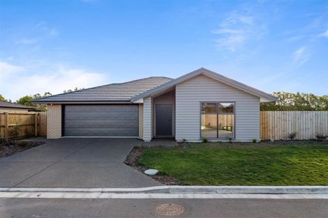 Photo of property in 170 Hendersons Road, Hoon Hay, Christchurch, 8025