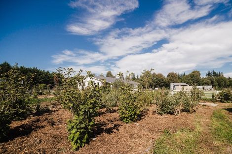 Photo of property in 239 Whites Road, Ohoka, Kaiapoi, 7692