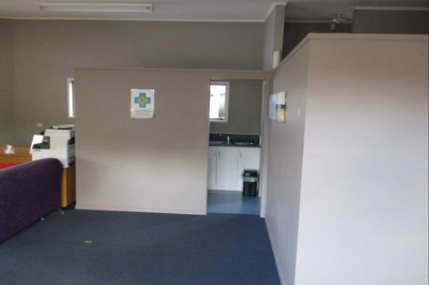 Photo of property in 82 Palmerston Street, Hamilton Lake, Hamilton, 3204