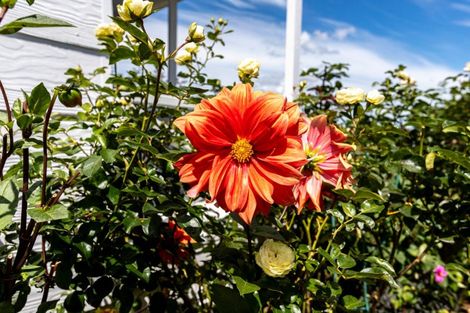 Photo of property in 15 Towers Street, Paeroa, 3600