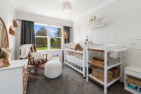 Photo of property in 4201 State Highway 1, Tokoroa, 3491