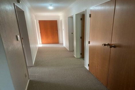 Photo of property in 46b Copeland Street, Hutt Central, Lower Hutt, 5011