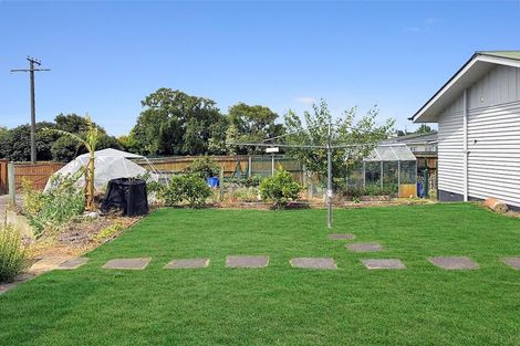 Photo of property in 74 Bredins Line, Marton, 4710