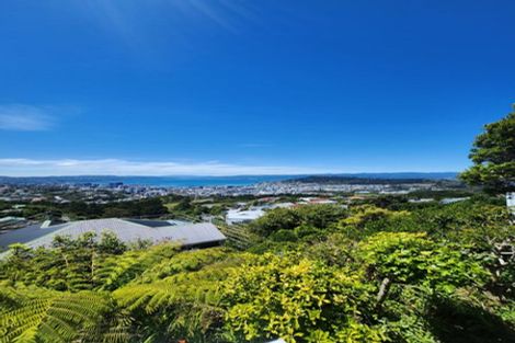 Photo of property in 28 Apuka Street, Brooklyn, Wellington, 6021