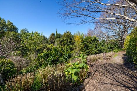 Photo of property in 47 Emmerdale Place, Ohauiti, Tauranga, 3112