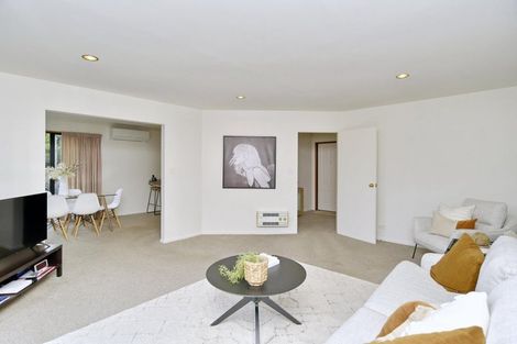 Photo of property in 303 Ashgrove Terrace, Somerfield, Christchurch, 8024