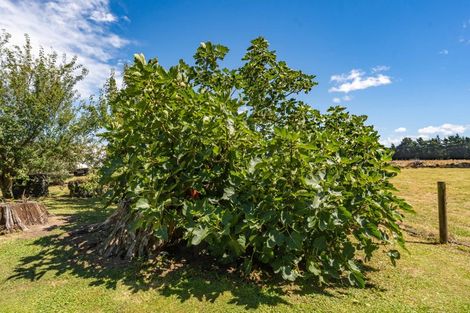 Photo of property in 317 Wood Street, Woodside, Greytown, 5794