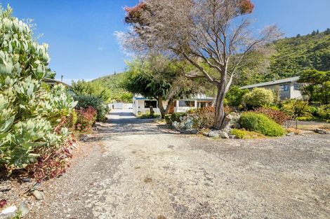 Photo of property in 301 Rarangi Beach Road, Rarangi, Blenheim, 7273