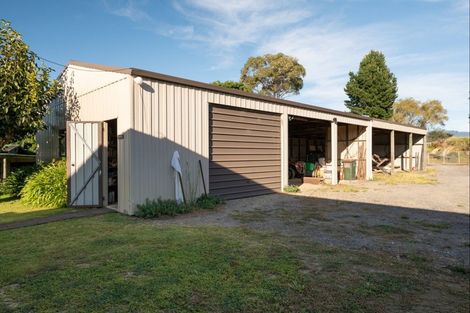 Photo of property in 42 Youngson Road, Whakamarama, Tauranga, 3180