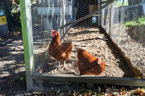 Photo of property in 176 Kairanga Bunnythorpe Road, Bunnythorpe, Palmerston North, 4478