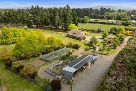 Photo of property in 190 Amberley Beach Road, Amberley, 7481