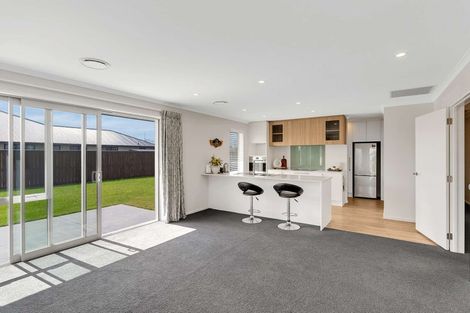 Photo of property in 41 Ashbury Drive, Tinwald, 7774