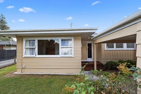 Photo of property in 41a Clarkin Road, Fairfield, Hamilton, 3214