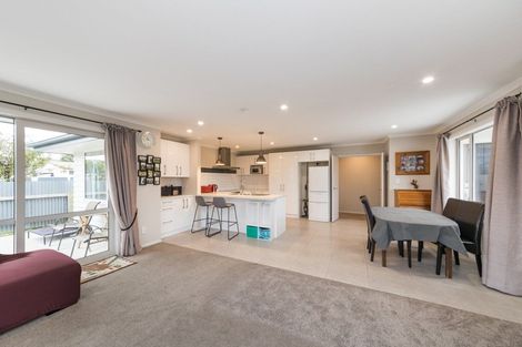 Photo of property in 64 Salisbury Street, Ashhurst, 4810