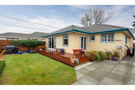 Photo of property in 123 Sparks Road, Hoon Hay, Christchurch, 8025