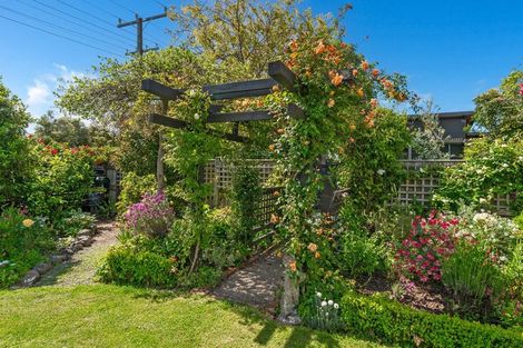 Photo of property in 84 Naples Street, Martinborough, 5711