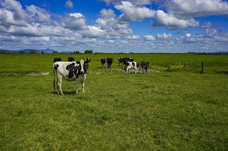 Photo of property in 314 Huirau Road, Turua, 3574