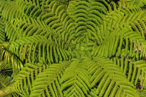 Photo of property in 1685 Kenepuru Road, Broughton Bay, Marlborough Sounds, 7282