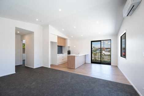 Photo of property in 15c Talbot Street, Richmond, 7020