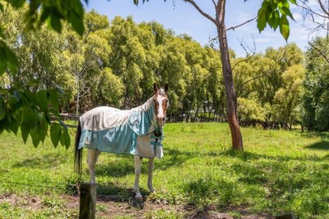 Photo of property in 193 Pine Valley Road, Dairy Flat, Silverdale, 0992