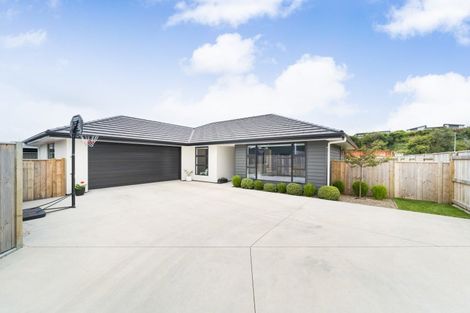 Photo of property in 97 Freedom Drive, Kelvin Grove, Palmerston North, 4470