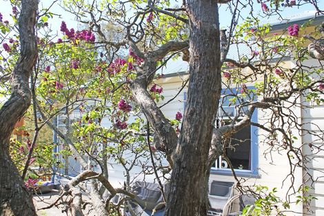 Photo of property in 7 Solway Street, Holmes Hill, Oamaru, 9401