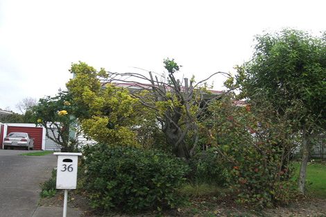 Photo of property in 36 Ronberg Street, Highbury, Palmerston North, 4412