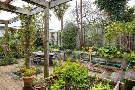 Photo of property in 3b Lighthouse Road, Bluff Hill, Napier, 4110