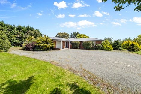 Photo of property in 310 Longbeach Road, Willowby, Ashburton, 7773