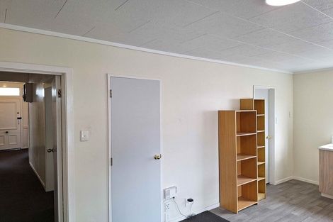 Photo of property in 217 Ferguson Street, Palmerston North, 4410