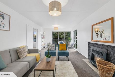 Photo of property in 32 Solway Street, Solway, Masterton, 5810